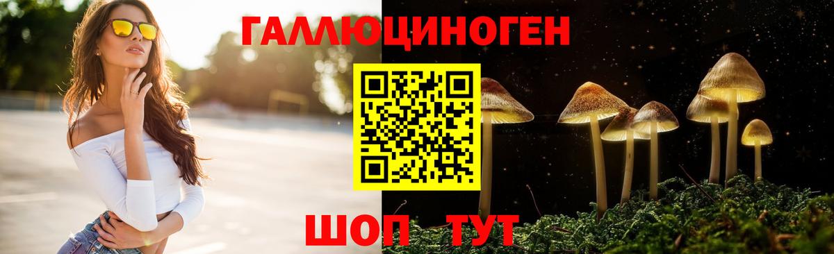 Псилоцибиновые грибы мицелий Магадан
